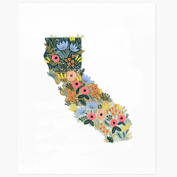 Rifle Paper Co. Other - NWT California Wildflowers Art Print